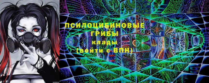 Галлюциногенные грибы MAGIC MUSHROOMS  Гаджиево 